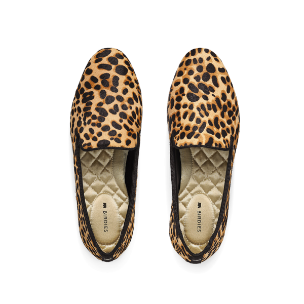 The Starling - Cheetah The Starling - Cheetah